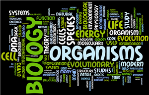Biology 